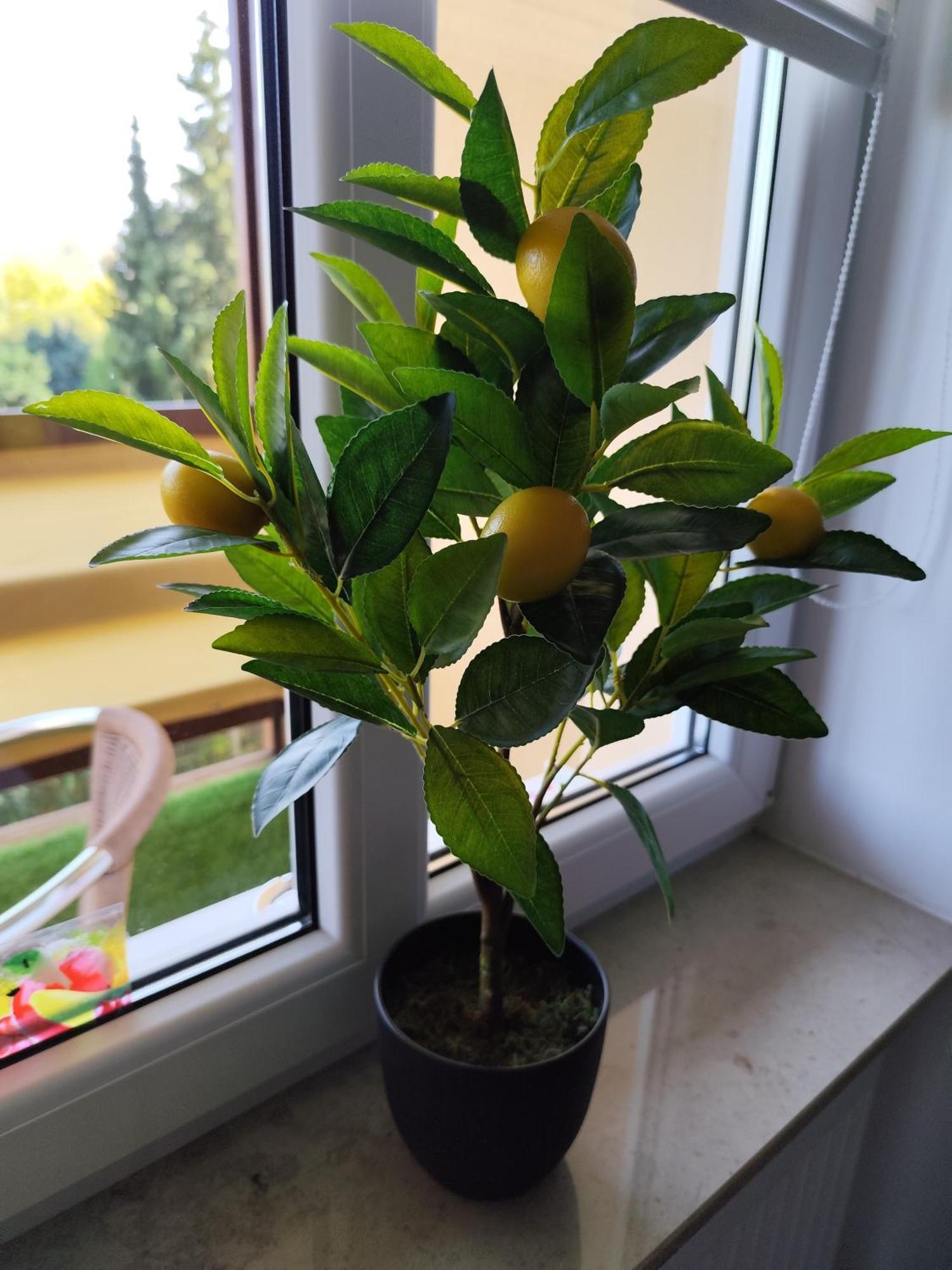 Cocon Zeitz Apartment Екстериор снимка
